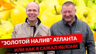 Видеоотзывы