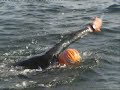 TRAVESIA TERRON-ILLA DE AROUSA A NADO