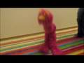 videos de Peludo Bailón