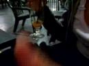 Soir�e Marine et moi Vid�o 4