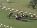 FAIR GROUNDS, 2009-11-14, Race 7