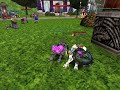 cyhper knight online sincexofxgfb cyhper knight online sincexofxgfb