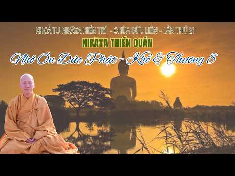 NIKAYA Thiền Quán - Nhớ Ơn Đức Phật - Khổ & Thương 8