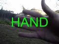 one-friend-dan-sealsour-own-interpretation.html