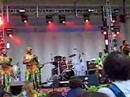 Femi Kuti @ Lollapalooza 2007