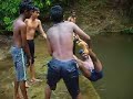 pavin