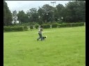 Discdogging Neuss [ 19.07.08 ]