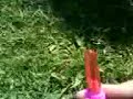 The Tampon Lolly - I like to suck it
