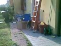 Siska: c'è un gatto sul tetto!!!!