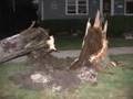 POWER LINES ON FIRE & EXPLODING-Orland Park,IL
