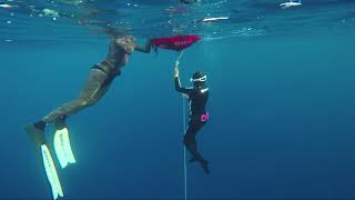Palmizana freediving experience