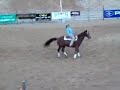 Emelie Lundström Reining Ranch Horse Classic 2008 Emelie Lundström Reining Ranch Horse Classic 2008