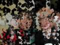 Reveillon 2008