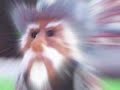 Colonel Reb is Cryin 1