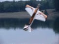 2008-12-23 | RC Airplane crash in water - The Thirsty Kat ~> A Katana goes into the lake... ... (04:57)