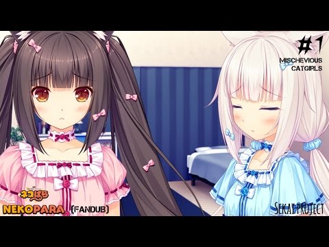 how to patch nekopara steam
