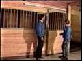 Barn building with www.barnpros.com how to build a horsebarn