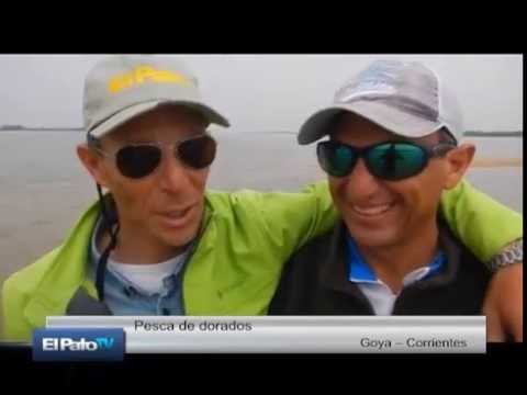 El Pato Televisión del 27 de agosto de 2016