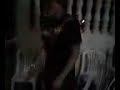 France bailando vallenato