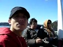 Comida a las Gaviotas