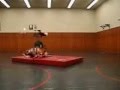 Backflip Impossible