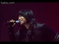 SG WannaBe - Inseparable kingbird