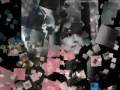 Everytime We Touch Remix ( Edward and Bella)