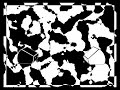 Bianco e Nero Bianco e Nero