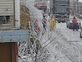Tziganii cu CAPRA(aiud) Tziganii cu CAPRA(aiud)