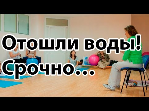 Видео: nATF1Zs0Fcw