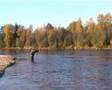 Fishmaster-Ljungan Fly Fishing 1