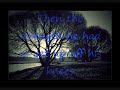 LYRICS whiskey lullaby