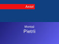 Detektyw Inwektyw- Anioł
