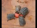 grabacion-del-disco-de-el-jardin-de-maria-2.html