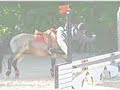 Chutes a cheval