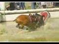 Chutes a cheval