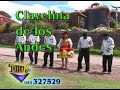 CLAVELINA DE LOS ANDES