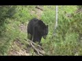 AP Environmental Science Project AP Environmental Science Project