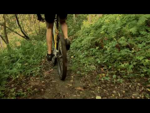 how to fit an xc bike