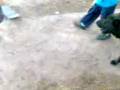 2)uri vs cucho
