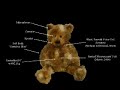 Huggable bear robot tech Huggable bear robot tech