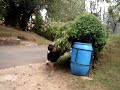 Rian flipping into a bush