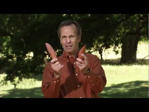 how to harvest knowledge