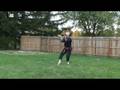 videos de Fukien Haku-Tsuru
