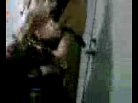 Imagem de Amostra do You Tube