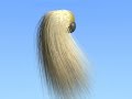 Hair Animation