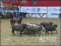 2007 NCHA Summer Cutting Spectacular Youth Champions