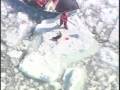 Canada's Cruel 2007 Seal Hunt
