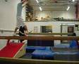 Appley Bridge Gymnastics Coaches