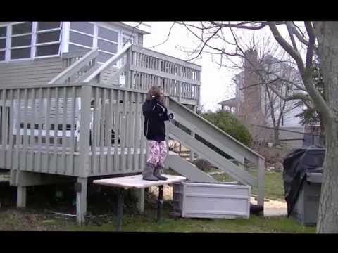 horses grand national